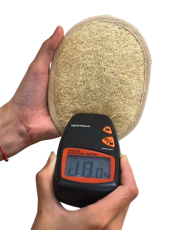 Moisture meter pressed against an oval loofah pad